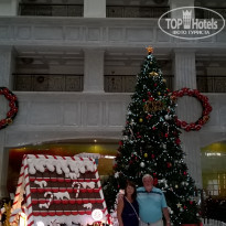 фото из отзыва ID 1686592