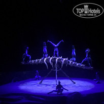 фото из отзыва ID 1686655