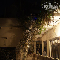 фото из отзыва ID 1686684