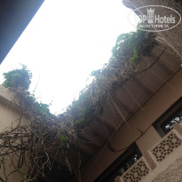 фото из отзыва ID 1686684