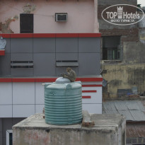 фото из отзыва ID 1686684