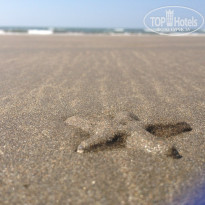 фото из отзыва ID 1686698