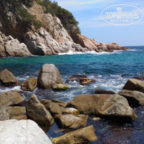 фото из отзыва ID 1686863