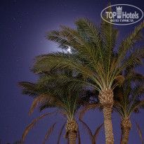 фото из отзыва ID 1686963