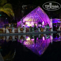 фото из отзыва ID 1686995