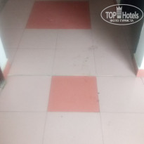 фото из отзыва ID 1687027