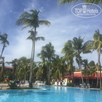 фото из отзыва ID 1687064