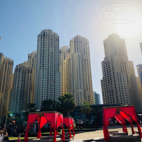 фото из отзыва ID 1687134