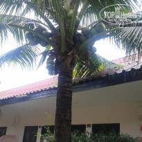 фото из отзыва ID 1687231