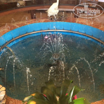 фото из отзыва ID 1687281