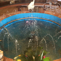 фото из отзыва ID 1687281