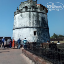 фото из отзыва ID 1687300