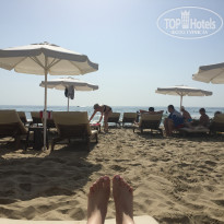 фото из отзыва ID 1687354