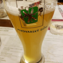 фото из отзыва ID 1687362