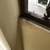 фото из отзыва ID 1687390