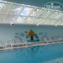 фото из отзыва ID 1687405