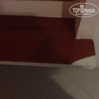 фото из отзыва ID 1687417