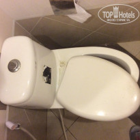 фото из отзыва ID 1687417