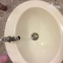 фото из отзыва ID 1687417