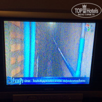 фото из отзыва ID 1687417