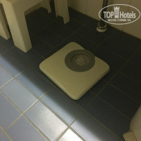 фото из отзыва ID 1687542