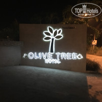 фото из отзыва ID 1687567