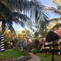 фото из отзыва ID 1687592