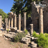 фото из отзыва ID 1687775