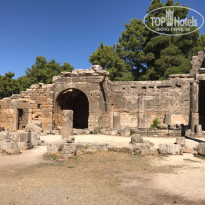 фото из отзыва ID 1687775