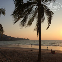 фото из отзыва ID 1687788