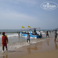 фото из отзыва ID 1687826