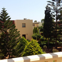 фото из отзыва ID 1687841