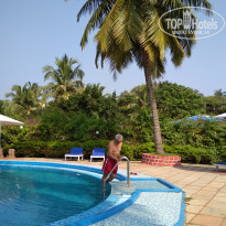 фото из отзыва ID 1688042