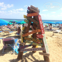 фото из отзыва ID 1688242