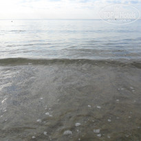 фото из отзыва ID 1682297