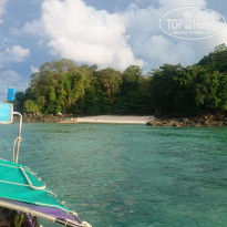 фото из отзыва ID 1688308