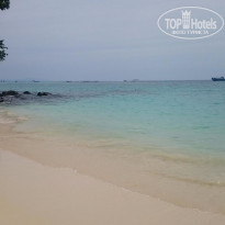 фото из отзыва ID 1688308