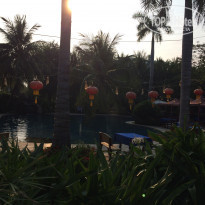 фото из отзыва ID 1688381