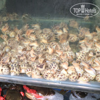 фото из отзыва ID 1688381