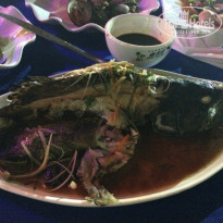 фото из отзыва ID 1688381