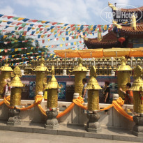 фото из отзыва ID 1688381