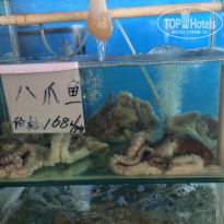 фото из отзыва ID 1688381