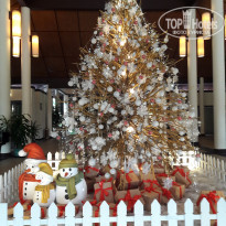 фото из отзыва ID 1685421