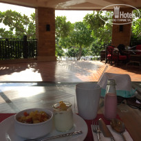 фото из отзыва ID 1688509