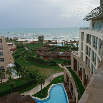 фото из отзыва ID 1688532