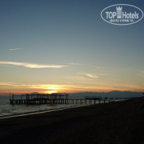 фото из отзыва ID 1688532