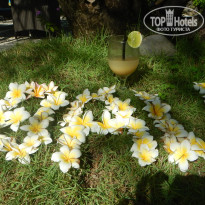 фото из отзыва ID 1688712