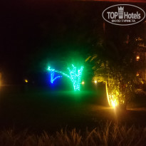 фото из отзыва ID 1688565