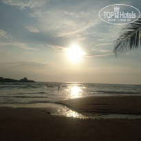 фото из отзыва ID 1688565