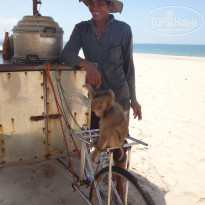 фото из отзыва ID 1688572